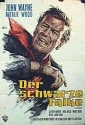 the_searchers_picture1.jpg