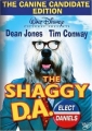 the_shaggy_d_a__img.jpg