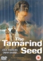 the_tamarind_seed_img.jpg