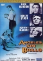 the_tarnished_angels_photo.jpg