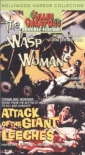 the_wasp_woman_photo.jpg
