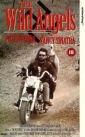 the_wild_angels_img.jpg