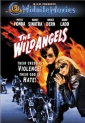 the_wild_angels_photo.jpg