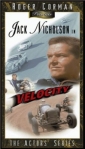 the_wild_ride_image1.jpg