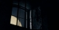 the_wolfman_picture.jpg