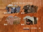 thunderheart_image.jpg