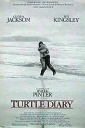 turtle_diary_image.jpg