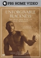 unforgivable_blackness__the_rise_and_fall_of_jack_johnson_picture.jpg