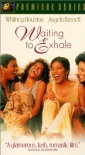 waiting_to_exhale_image.jpg