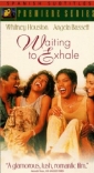 waiting_to_exhale_photo1.jpg
