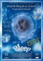 what_the_bleep_do_we_know__photo1.jpg