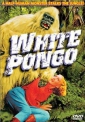 white_pongo_image.jpg