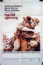 wild_rovers_picture.jpg