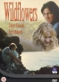 wildflower_img.jpg