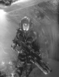 wing_commander_picture.jpg