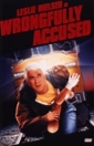 wrongfully_accused_photo.jpg