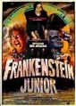 young_frankenstein_photo.jpg