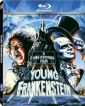 young_frankenstein_pic.jpg