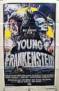 young_frankenstein_picture.jpg