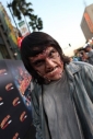 zombieland_picture1.jpg