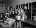 anne shirley and john payne pic