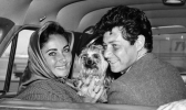 eddie fisher and elizabeth taylor picture