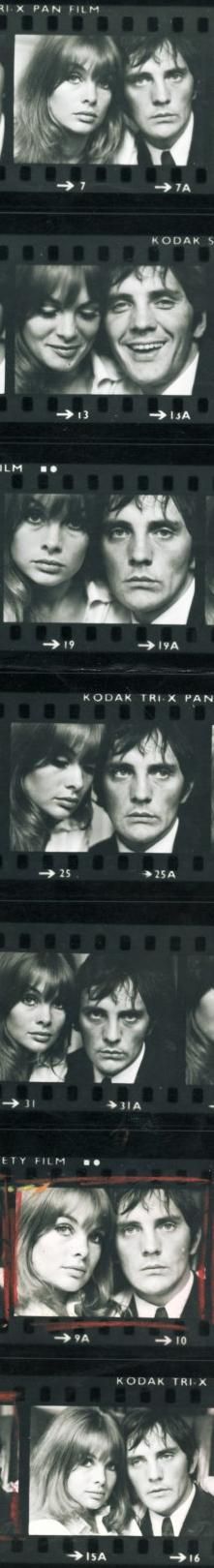 the collector terence stamp