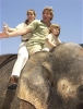 steve irwin and terri irwin image1