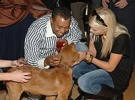 tiger woods and elin nordegren picture1
