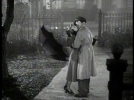 vivien leigh and robert taylor image3