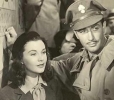 vivien leigh and robert taylor photo2