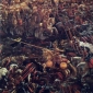 Albrecht Altdorfer