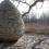 Andy Goldsworthy