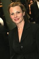 Angelica Torn