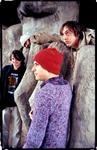 Animal Collective