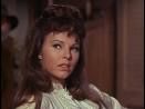 Anne Helm
