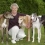 Annette Crosbie