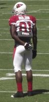 Anquan Boldin