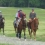 Barbaro