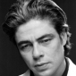 Benicio Del Toro