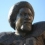 Billy Sims