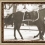 Black Jack the Horse