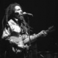 bob marley