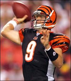 Carson Palmer