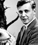 young david