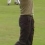 David Howell