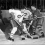 Doug Harvey