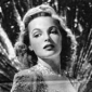 Elyse Knox