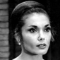 Felicia Farr