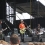 Fountains of Wayne
